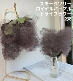 スモークツリー ロイヤルパープル　ドライフラワー 2束セット②のサムネイル