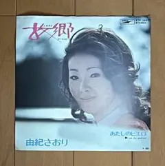 レーザーディスク ◇ 田村英里子 ◇ ドリーム・パイロット - メルカリ