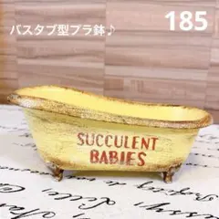 185❇️バスタブ型♡リメイクプラ鉢のサムネイル