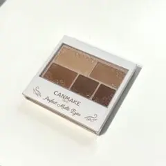 キャンメイク　パーフェクトマルチアイズX 05 アイシャドウ