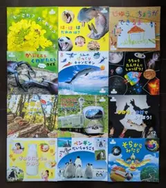 ​【ほぼ未使用】サンチャイルド・ビッグサイエンス 12冊セット（2020年度 ）