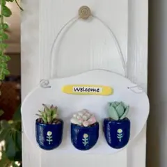 瑠璃色の鉢に可愛い多肉植物ウェルカムボード