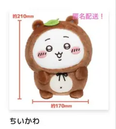 ちいかわ　たぬきだもんくじ　Ｂ賞　ちいかわ