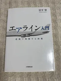 【書き込みあり】エアライン入門 逆風で飛翔する両翼 宮平望