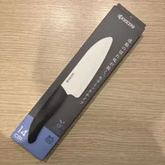 Item thumbnail for item ed810970-2cdd-436f-96c2-f5827789040b