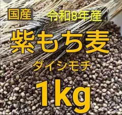 もち麦1kg ⑧ 新麦 紫もち麦 ダイシモチ 美味しく食べやすく精麦済のサムネイル