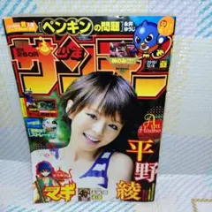 週刊少年サンデー 2010年52号 平野綾表紙 付録なし - メルカリ