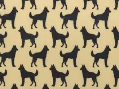 【ゆきちゃん限定】X2685-1 シベリアンハスキー シルエット ベージュ 1m