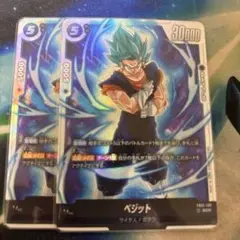 ベジット　scr fb02-139 2枚セット
