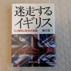 迷走するイギリス EU離脱と欧州の危機