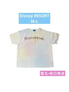 公式　ディズニー　40周年　ドリームゴーラウンド　Tシャツ　M-L 匿名　即日