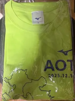 Item thumbnail for item 4a4c0c60-dfc1-4e0f-879b-6bc00338ca64