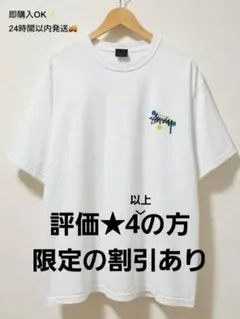 Stüssy ホワイト Tシャツ