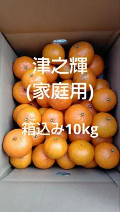 2026年最新】津之輝の人気アイテム - メルカリ