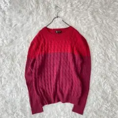 MICHEL KLEIN ケーブル編みニットカーディガン（51）ツートン赤紫