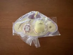 サンリオパッケージチャーム　ポムポムプリン