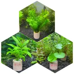 ⭐︎HARU⭐︎様 リクエスト 2点 まとめ商品