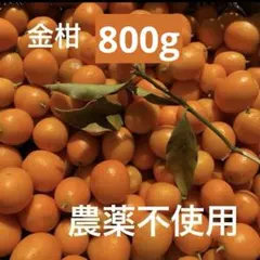 2026年最新】金柑 農薬不使用の人気アイテム - メルカリ