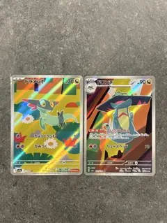 ドラメシヤar ドロンチar ２枚セット