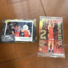 Bリーグカード アカツキジャパン 齋藤拓実 名古屋ダイヤモンド