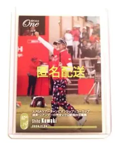 Item thumbnail for item df56948b-215e-440b-9e61-6a3d963f3b84