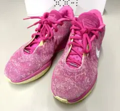 28cm レブロン21 The World Is Your Oyster