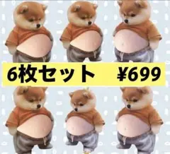 おなかぷにぷにシール　6枚セット お腹　柴犬　シリコン　まとめ売り