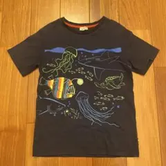 Paul Smith Junior 海洋生物Tシャツ 140cm