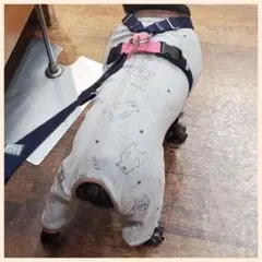 Item thumbnail for item 908aa920-718c-458f-9cde-e7af852adad6