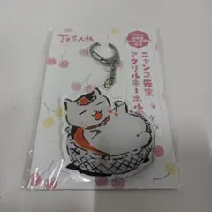 夏目友人帳 アニメイト山形店 オープン15周年記念 ニャンコ先生 アクキー