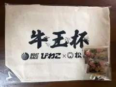 Item thumbnail for item a0bcac33-eb04-4188-b6c3-bfd72f8f7cc6