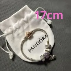 PANDORA ローズゴールド16cmインフィニティチャーム - メルカリ