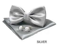 【新品未使用】蝶ネクタイスーツ無地結婚式二次会父の日銀シルバー