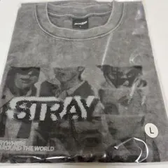 Stray Kids フォトTシャツ Mサイズ ⭐︎即日配送可能⭐︎匿名配送