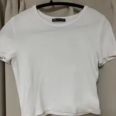 ZARA クルーネック Tシャツ ホワイト