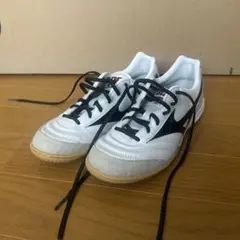 2025年最新】モレリア 23cmの人気アイテム - メルカリ