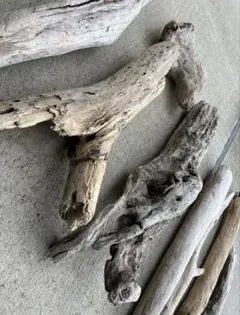 流木 大サイズ　詰め合わせ　アクアリウム　昆虫　爬虫類