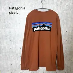 Patagonia パタゴニア レスポンシビリティーTシャツのサムネイル