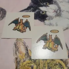 ポケモンパンシール カキのリザードン 2枚セット