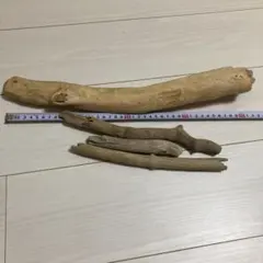 Item thumbnail for item 6fc9fce5-d07d-47ec-a9a3-82ec92ac0450