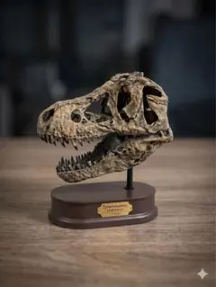 DINOWORLD】ティラノサウルス 頭骨 化石 ジュラシックパーク - メルカリ