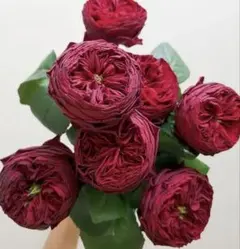 ゆうか様 リクエスト 2点 まとめ商品