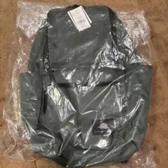スカンジナビアフォレスト　リュック