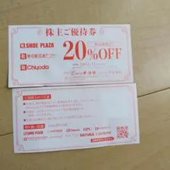 チヨダ　株主優待　20%引き(匿名配送)