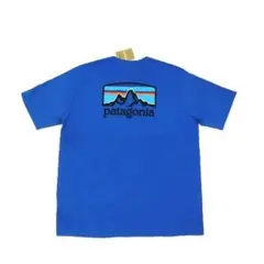 patagonia FITZ ROY HORIZONS TEE BYBL L