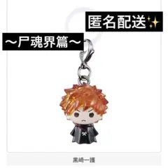 BLEACH めじるしアクセサリー～尸魂界篇～ ★黒崎一護✨
