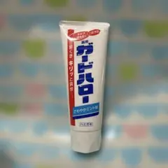 ハミガキ さわやかミント味歯磨き粉