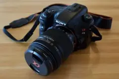 SONY α65 SLT-A65V DT18-250mm 訳あり