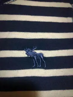 アバクロ ロンT