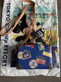 ディズニー　カメラケース